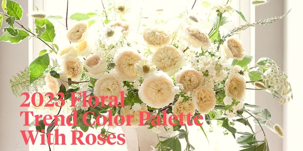Floral trend color palette with roses header on Thursd 