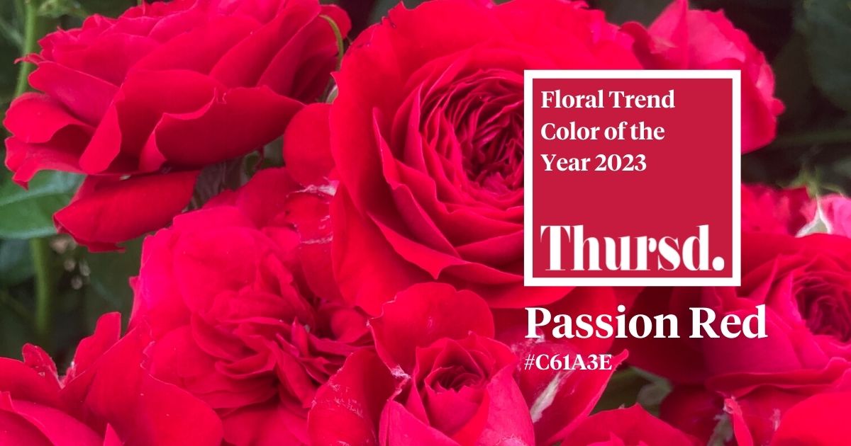 Thursd Floral Trend Color 2023 Passion Red 