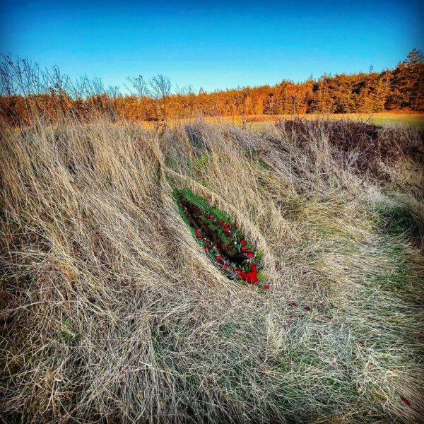 Eco Artist Jeanne Simmons and Her Womenscapes - hillside sculpture - on thursd