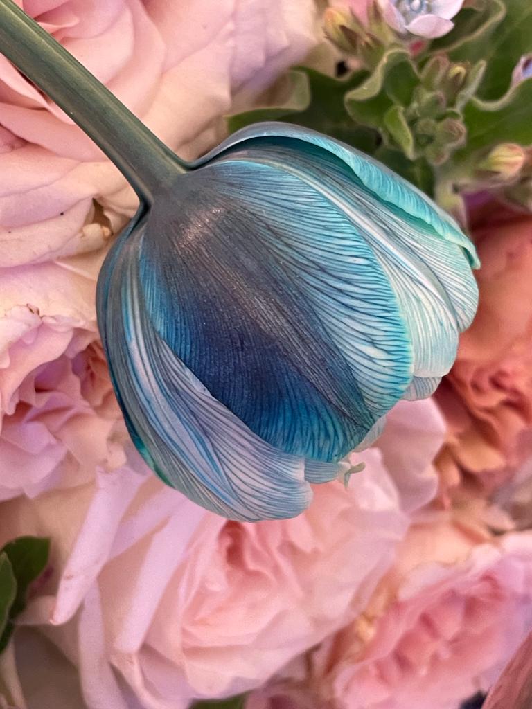 Details of a Dyed Blue Tulip from Vip Roses on Thursd