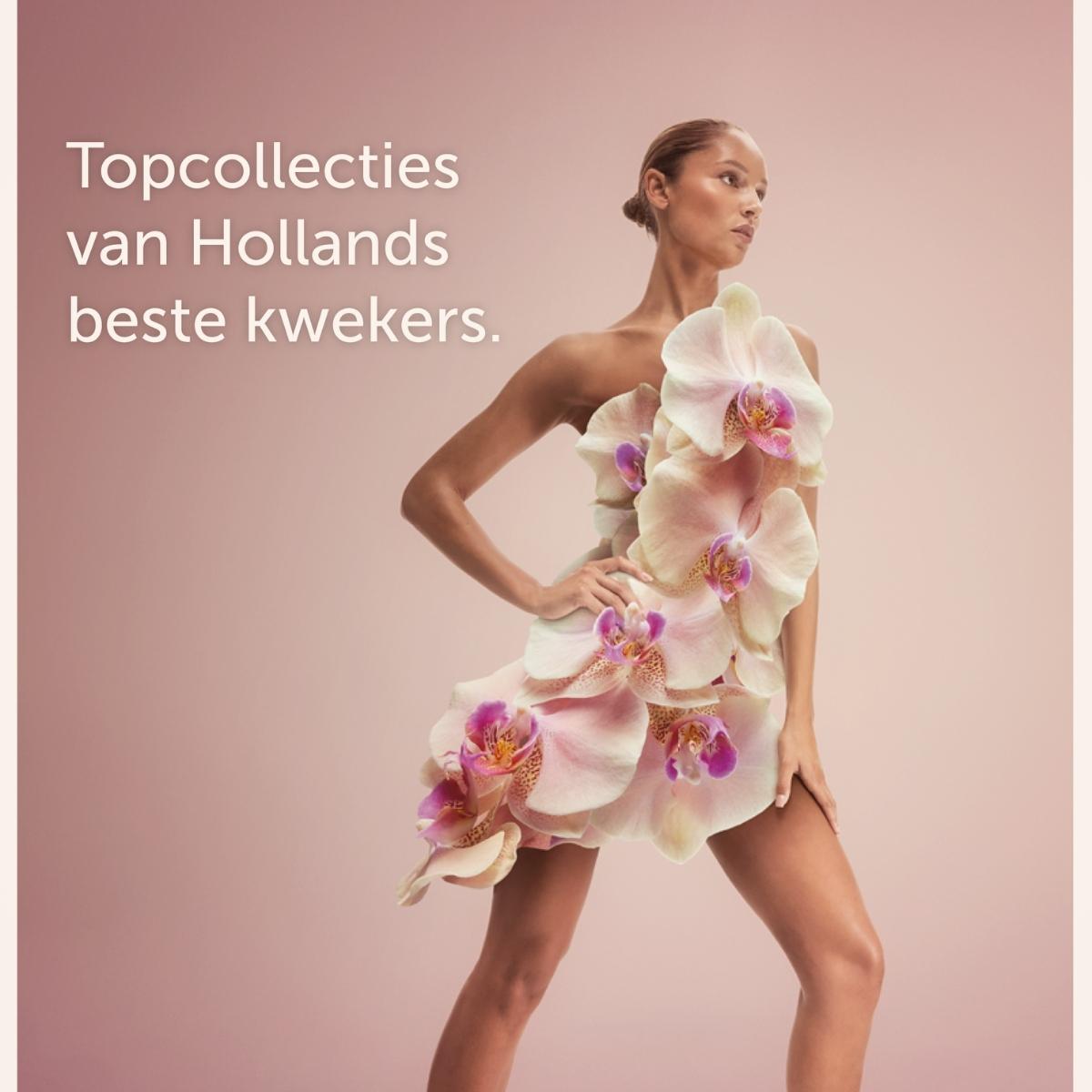 decorum-launched-their-new-campaign-at-the-trade-fair-aalsmeer-featured