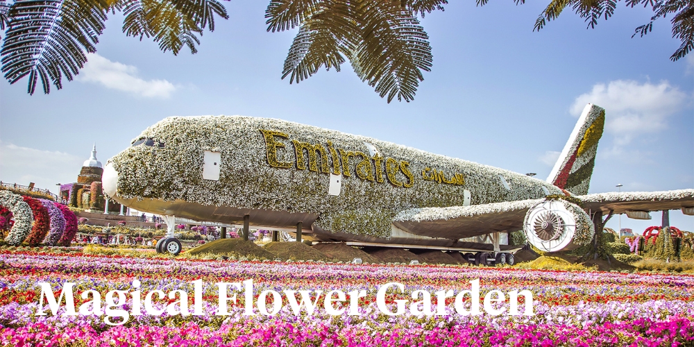 Dubai Miracle Garden header on Thursd 