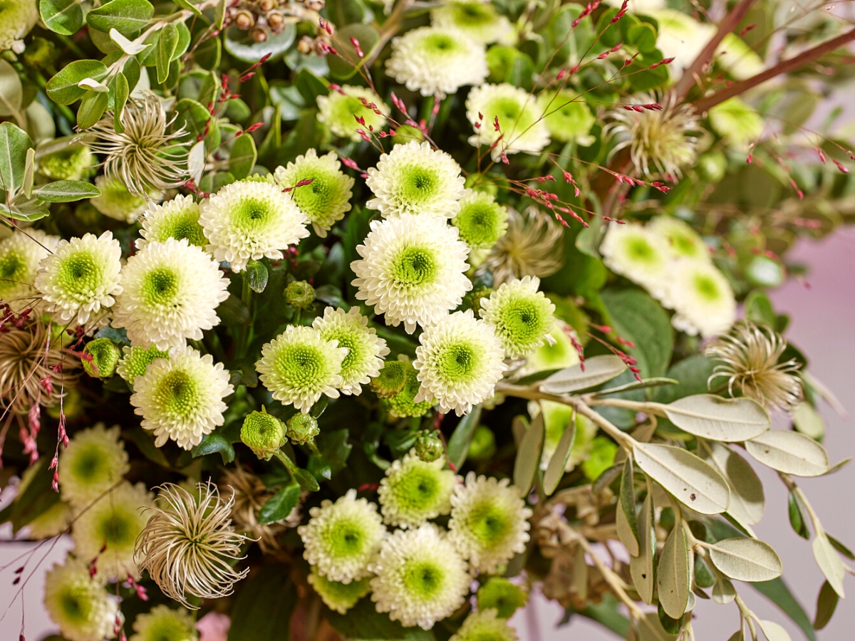 How Do Our Brains Respond to Yellow Flowers? - Article onThursd