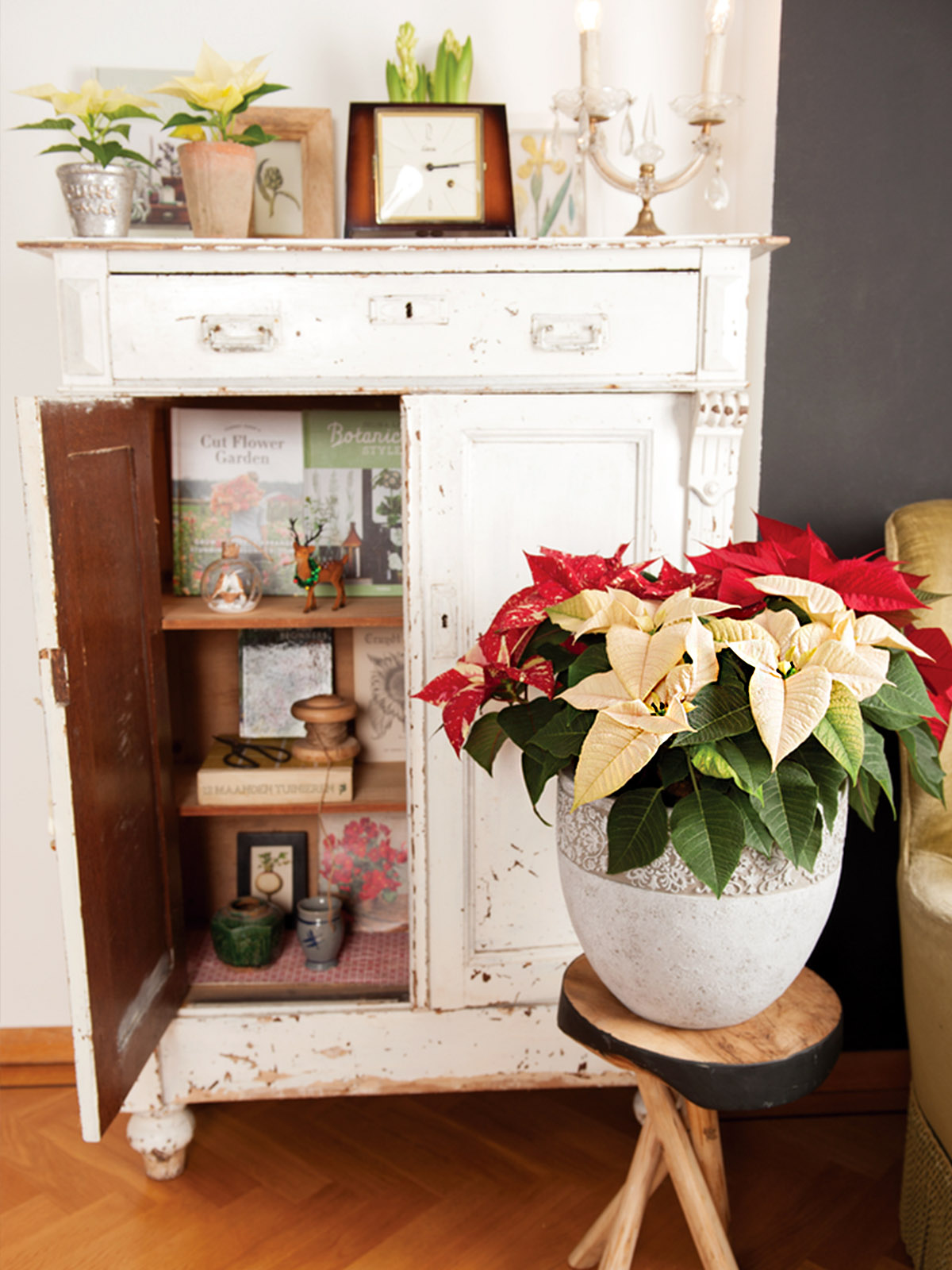 Poinsettia Mix and Match Red and White on Thursd