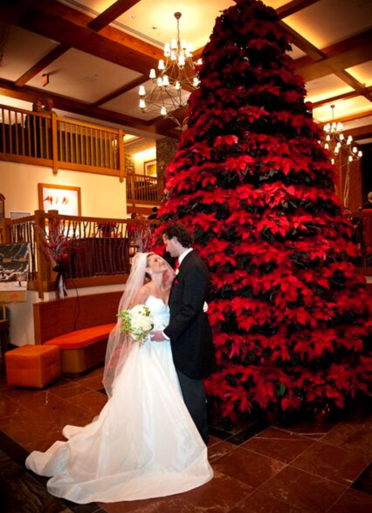 Winter Wedding With Red Poinsettia Trees on Thursd