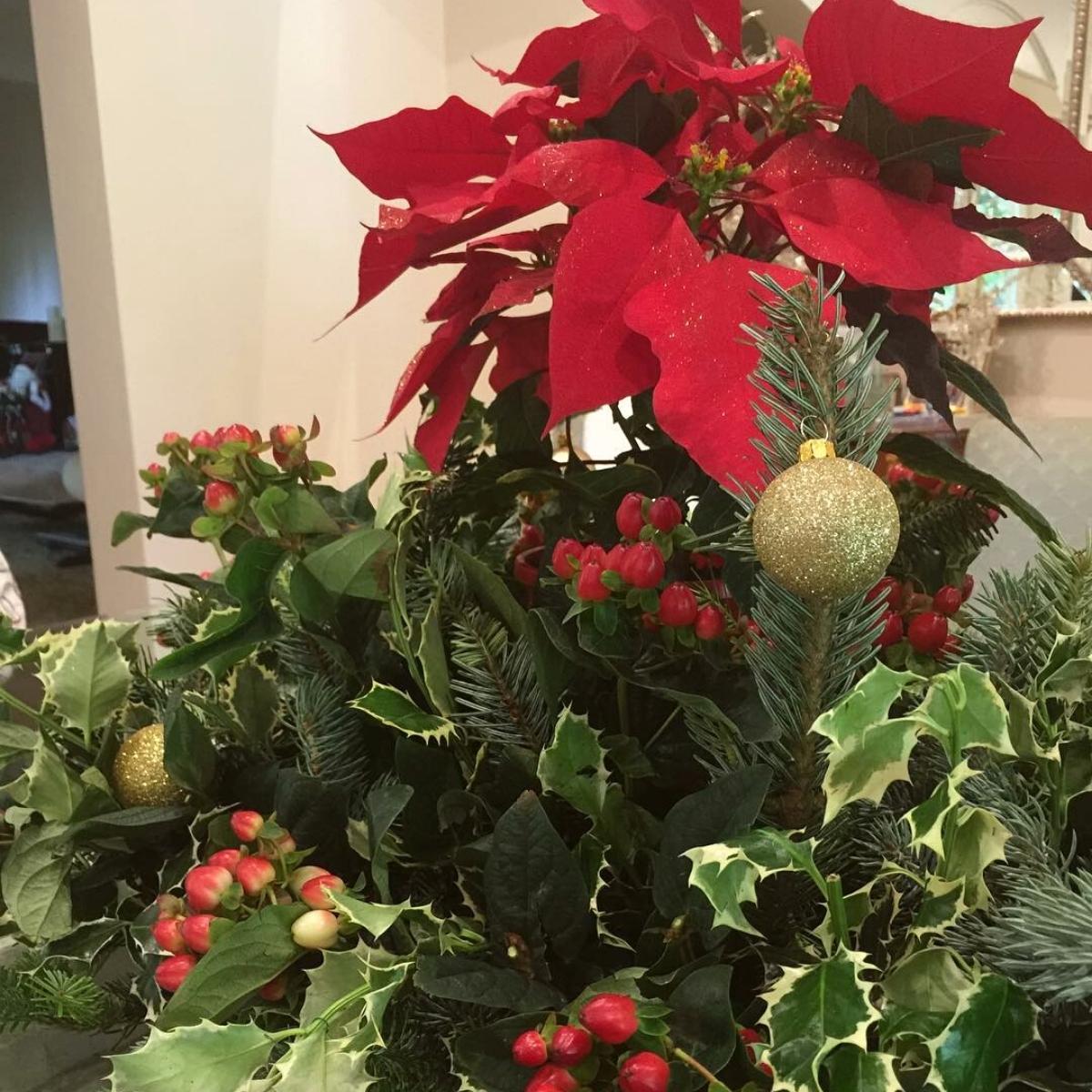 Poinsettia center table design on Thursd