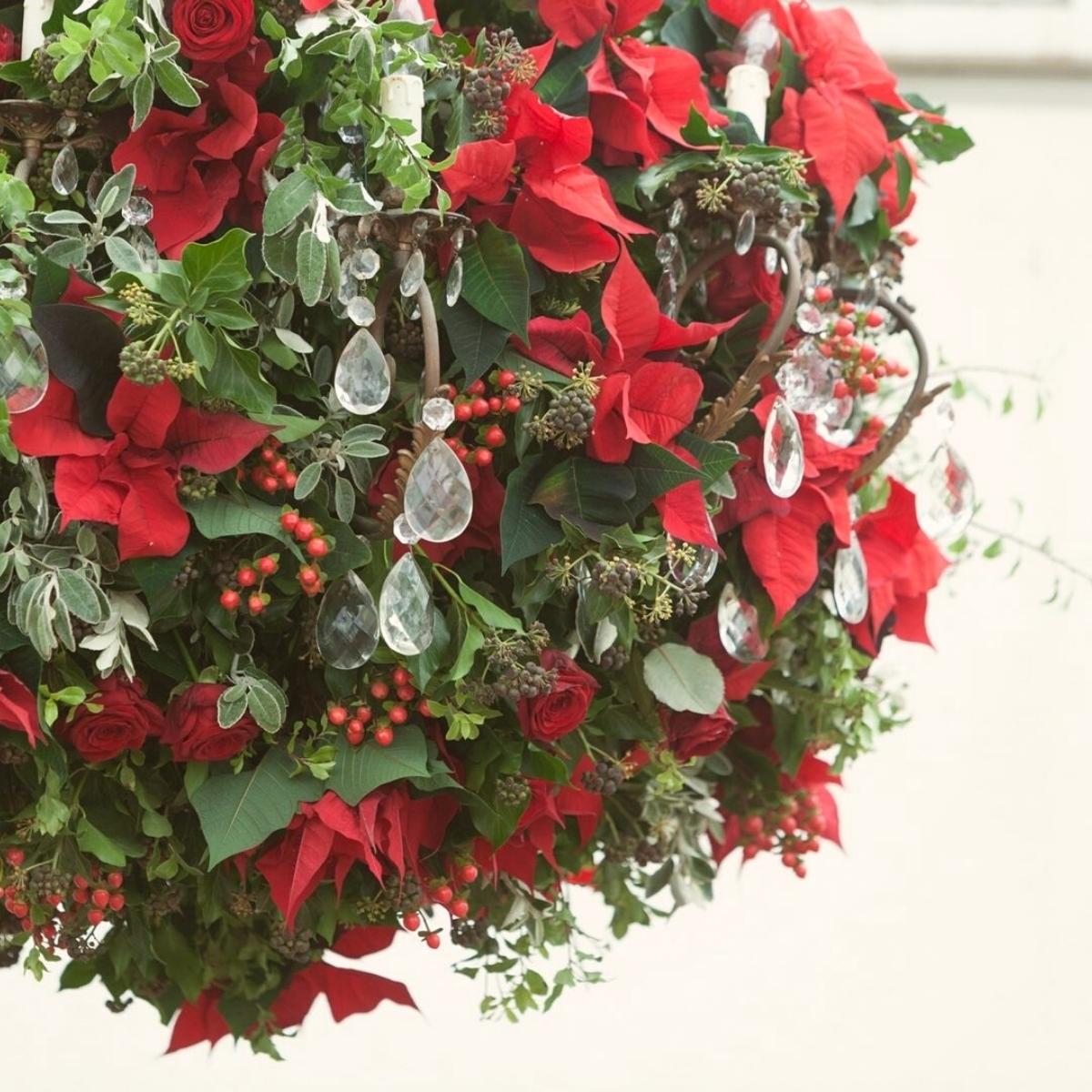 Poinsettia living room decoration on Thursd