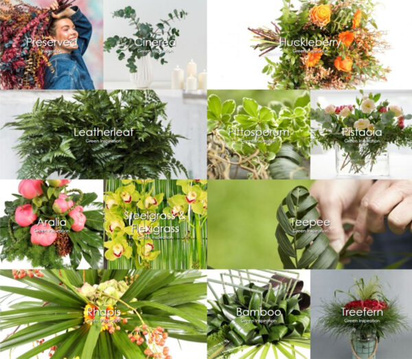 Newsletters in the Flower Industry You Don't Want to Miss - Adomex