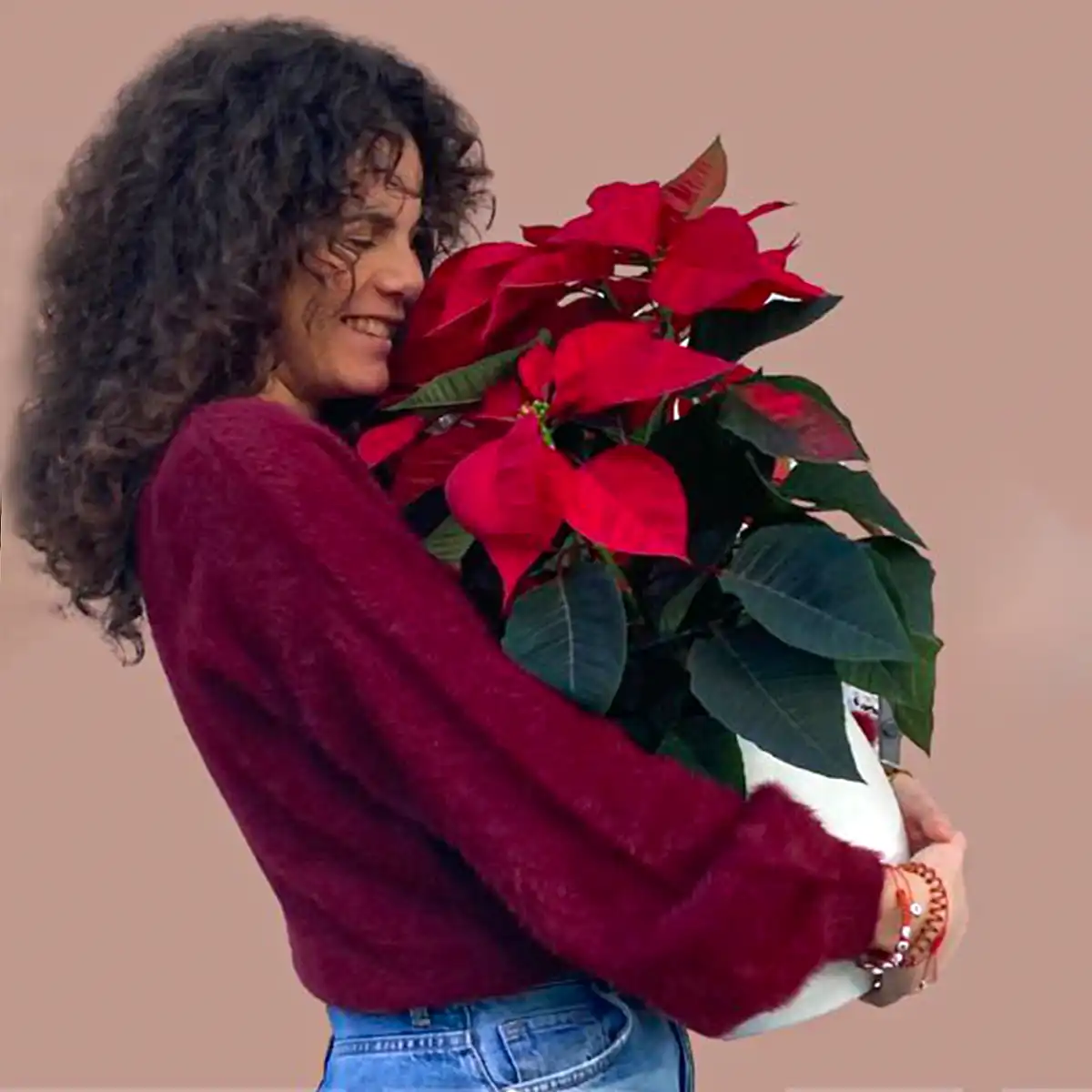 crazy-about-poinsettia-featured