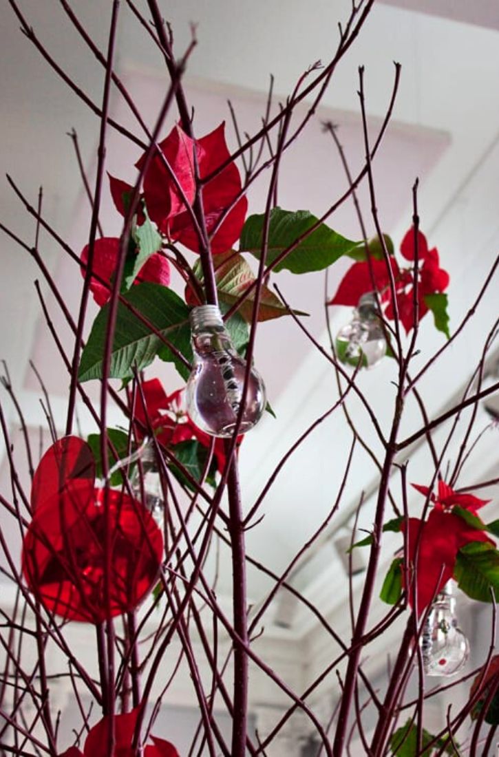 Floral Inspiration With Poinsettia in Branches on Thursd