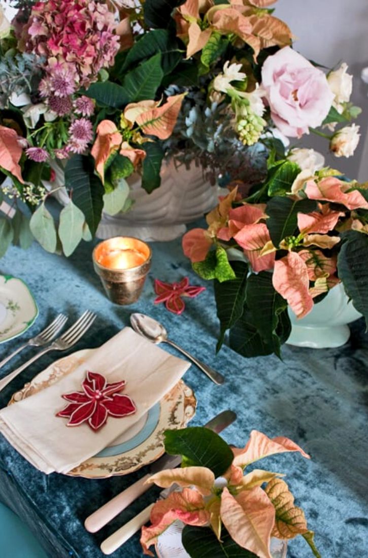 Floral Inspiration With Peach Poinsettia on Thursd