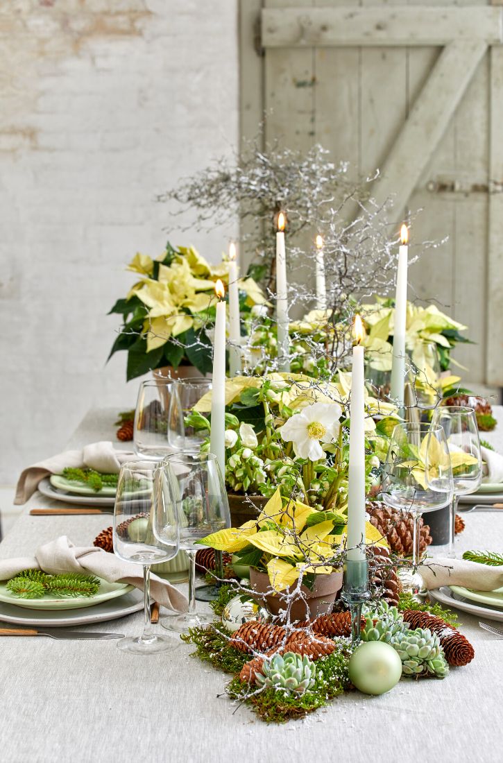 Table Design Inspiration With Poinsettia on Thursd
