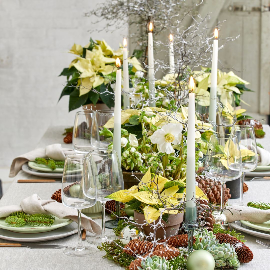floral-inspiration-with-poinsettia-featured