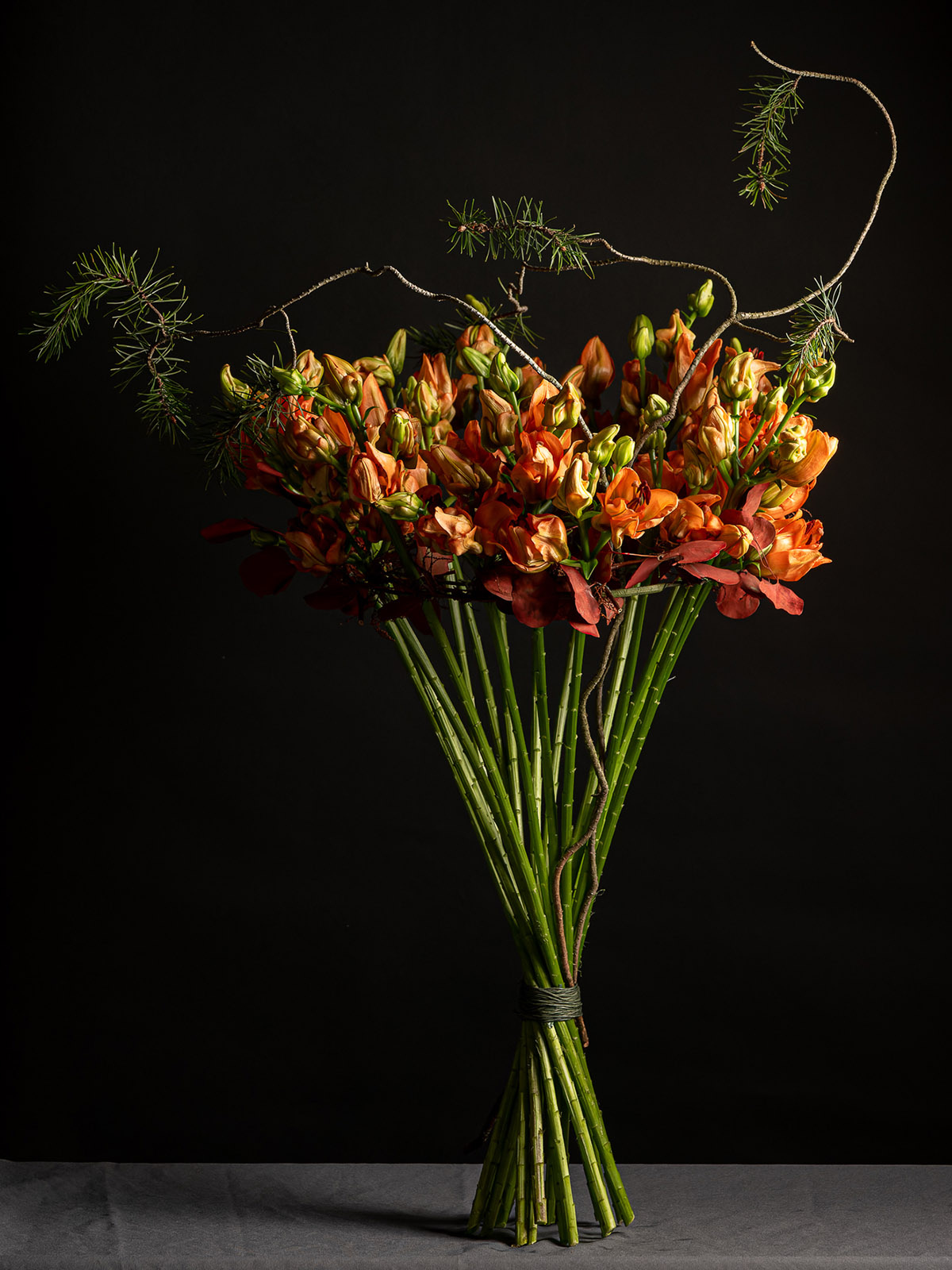 Lily Tintoretto bouquet by Zbigniew Dziwulski on Thursd