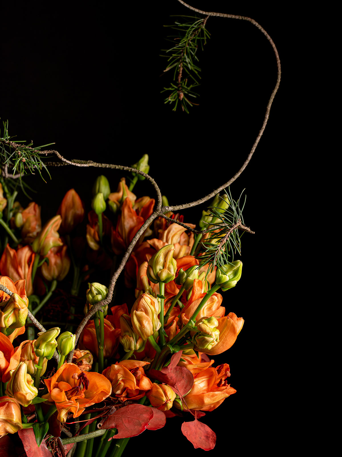 Lily Tintoretto bouquet detail by Zbigniew Dziwulski on Thursd.jpg