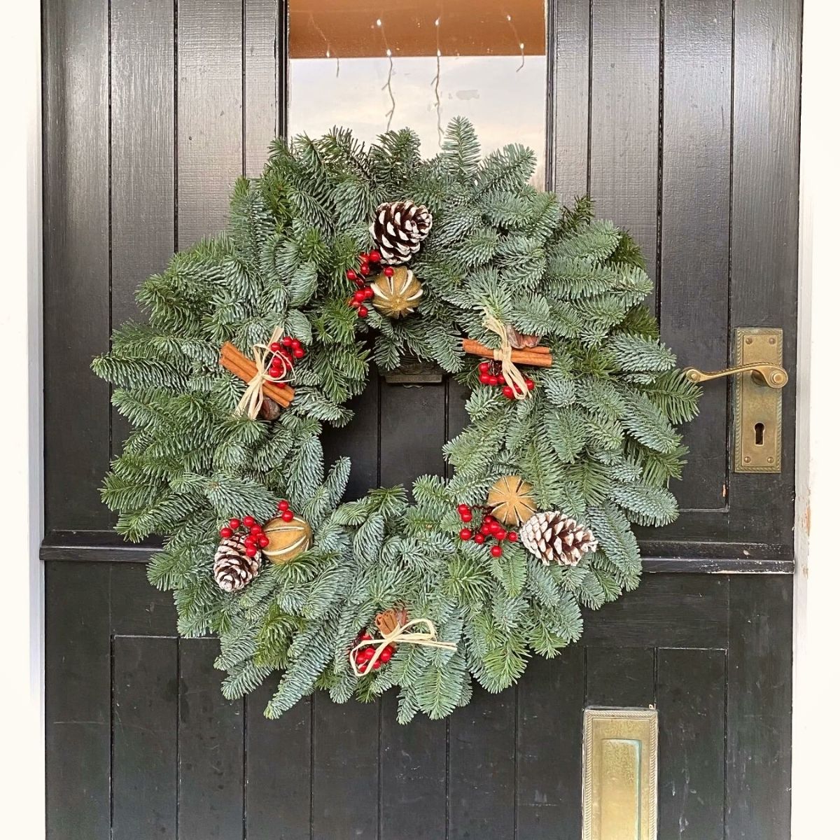 Using Noble Fir as Christmas greenery and outside decor on Thursd