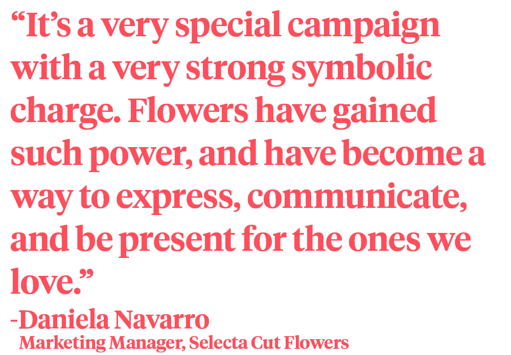 Daniela_Navarro_flowers_symbolic_charge_quote_on_Thursd