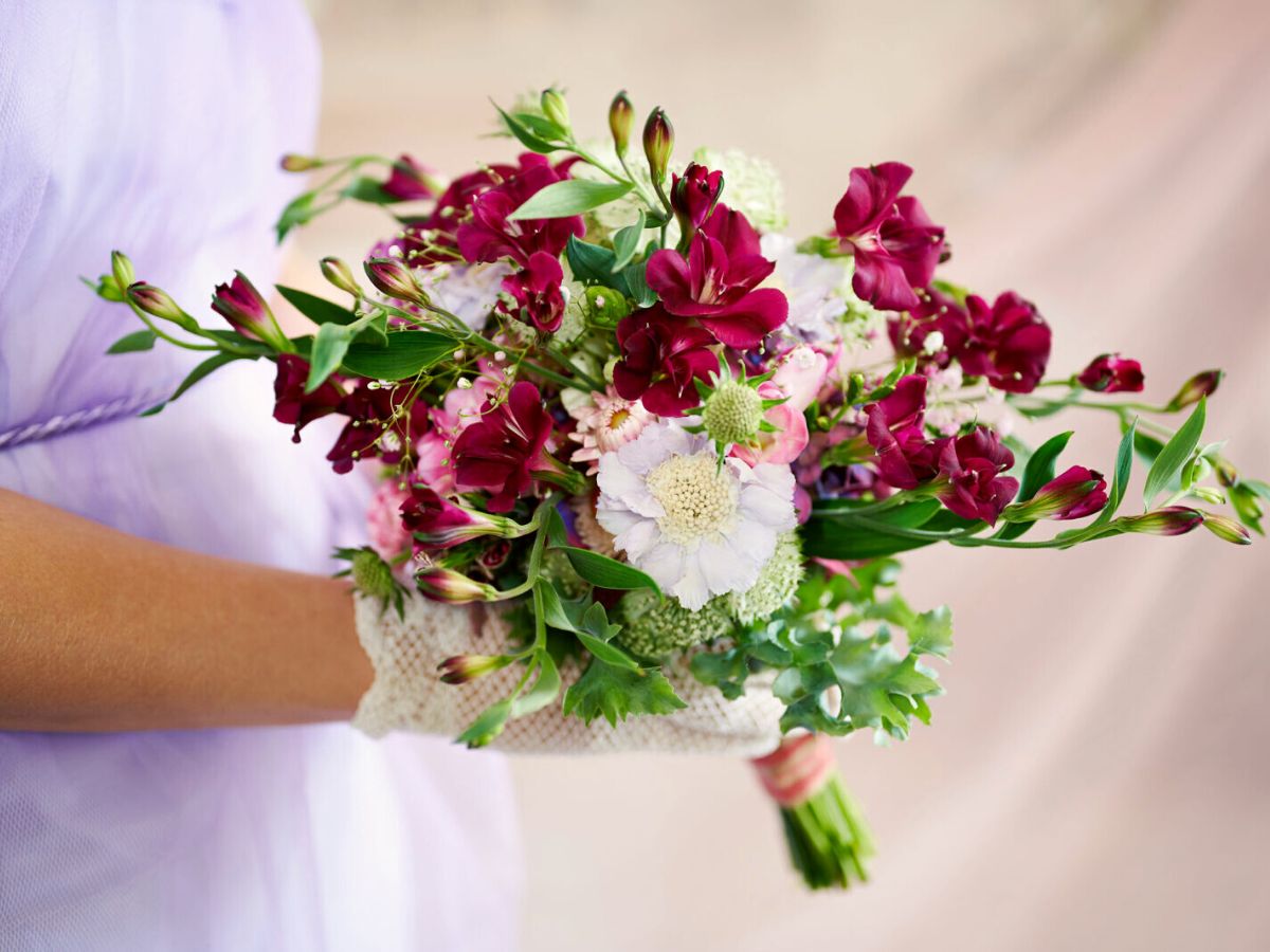 Charmelia Purplex bouquet on Thursd