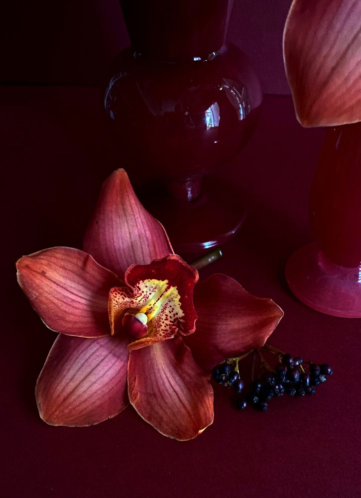 Pink Cymbidium in the mood of Thursd Floral Trend Color of the Year 2023 Passion Red and Pantone Color of the Year 2023 Viva Magenta on Thursd