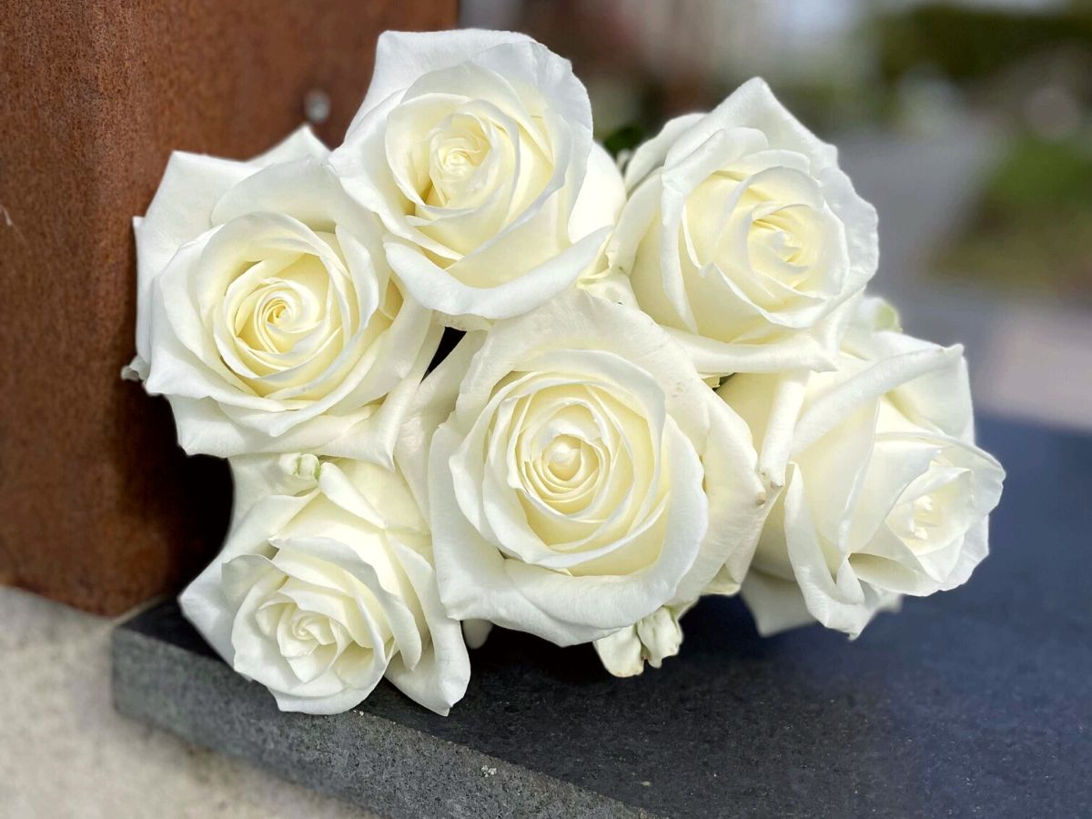Rose Noëlia white arrangement on Thursd