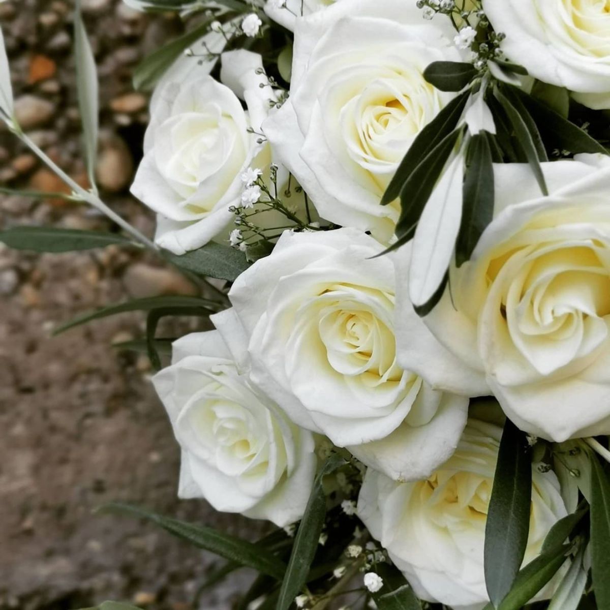 Rose Noelia is a great rose for wedding and winter designs on Thursd