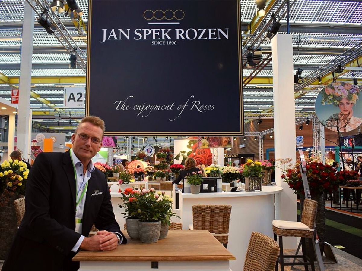 Jan Spek Rozen breeder Rose Noelia on Thursd