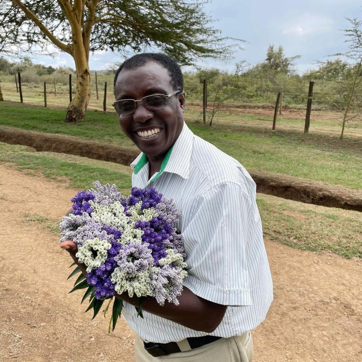 Florius growers of beautiful white flower selection on Thursd