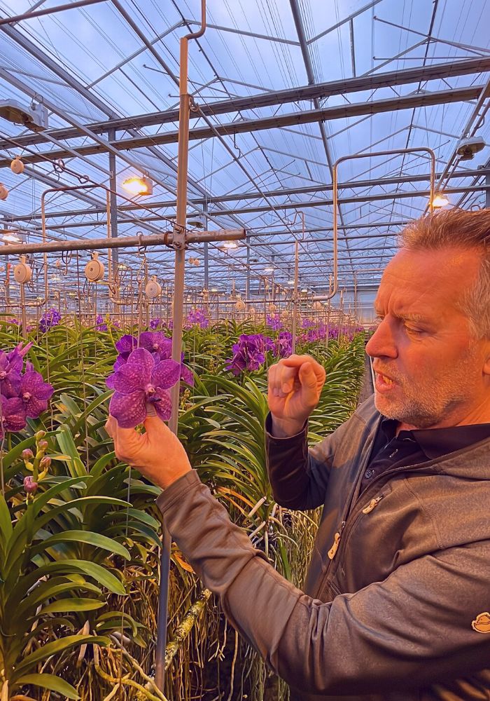 Steef van Adrichem talking about Vanda Orchids at Ansu Vanda