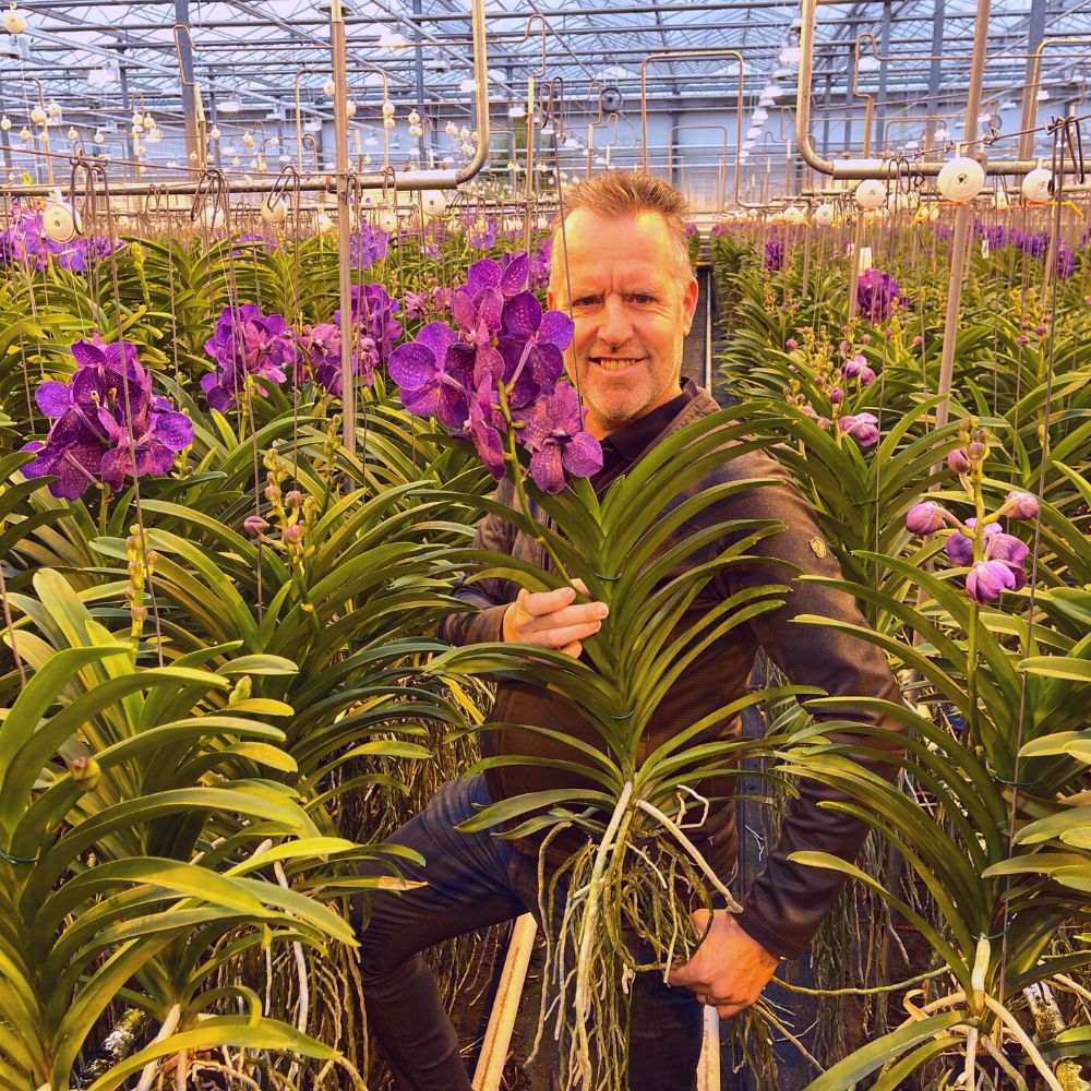 Steef van Adrichem with vanda Orchids Featured
