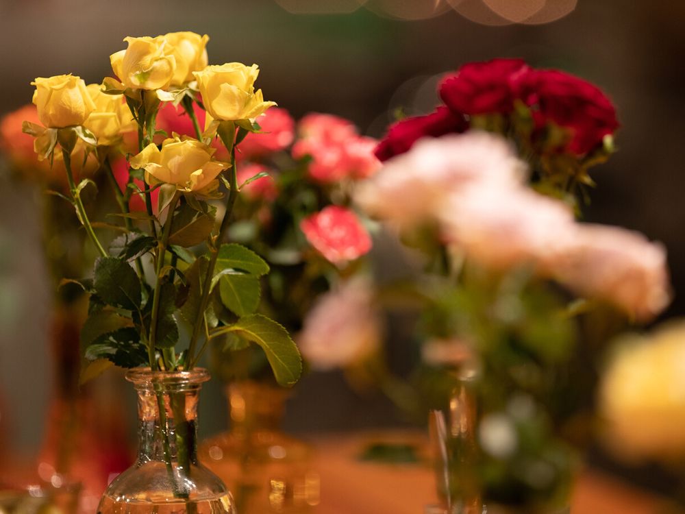 Yellow Spray Roses at the Dinner Party of Interplant Roses Family Business 60th Anniversary on Thursd