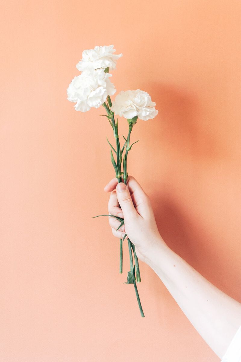 White carnations symbolism on Thursd