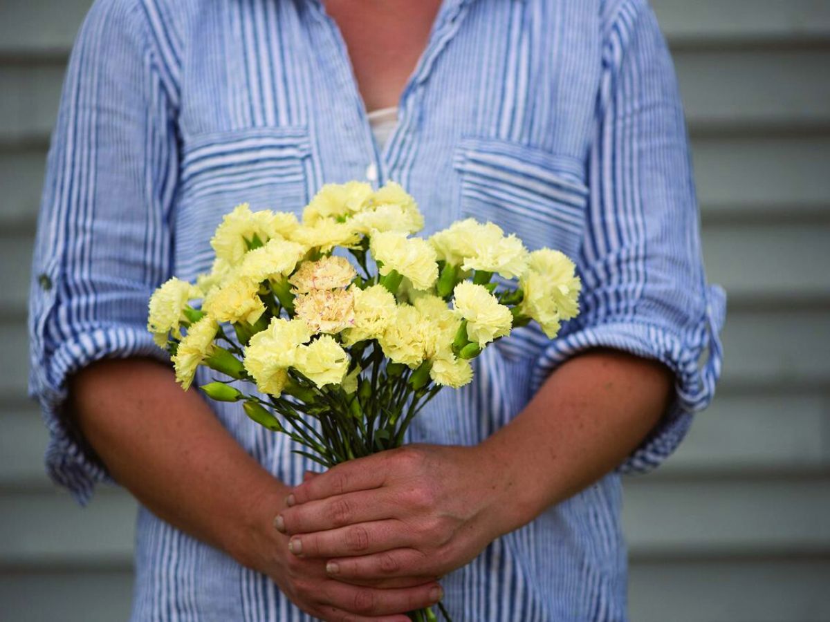 10 Pink Flowers to Show Support During Breast Cancer Awareness