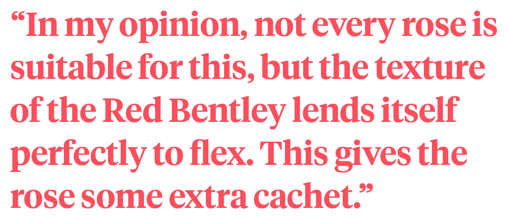 Quote Céline Van den Berghe Rose Red Bentley on Thursd