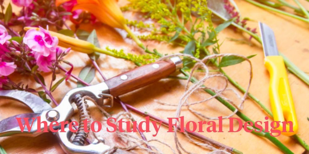 Where to Study Floral Design Header