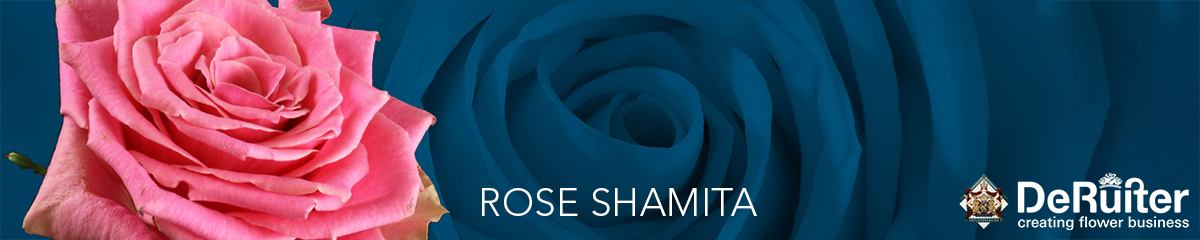Rose Shamita banner