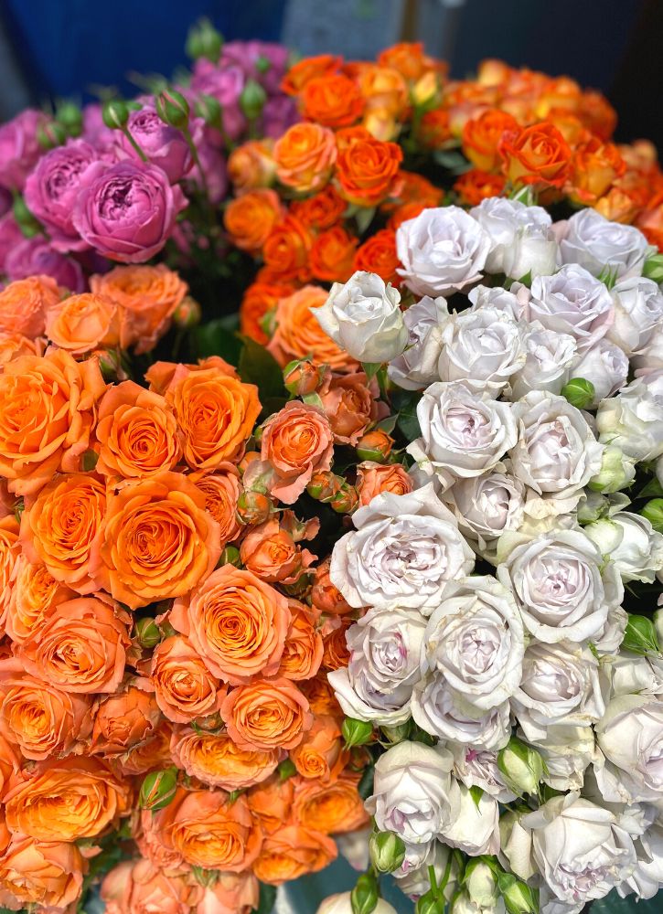 How Festive These Bubbles® Spray Roses Can Be Article onThursd