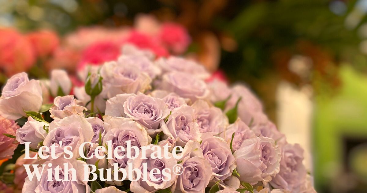 Let's Celebrate With Spray Roses Bubbles® 