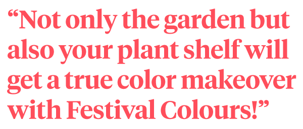 Color Your Garden with Festival Colours by Kwekerij Wouters