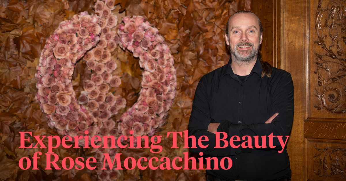 Tom De Houwer experiences beauty of Rose Moccachino header