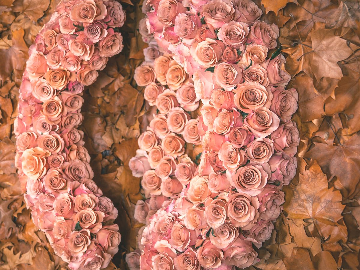 Closeup of Rose Moccachino by Decofresh