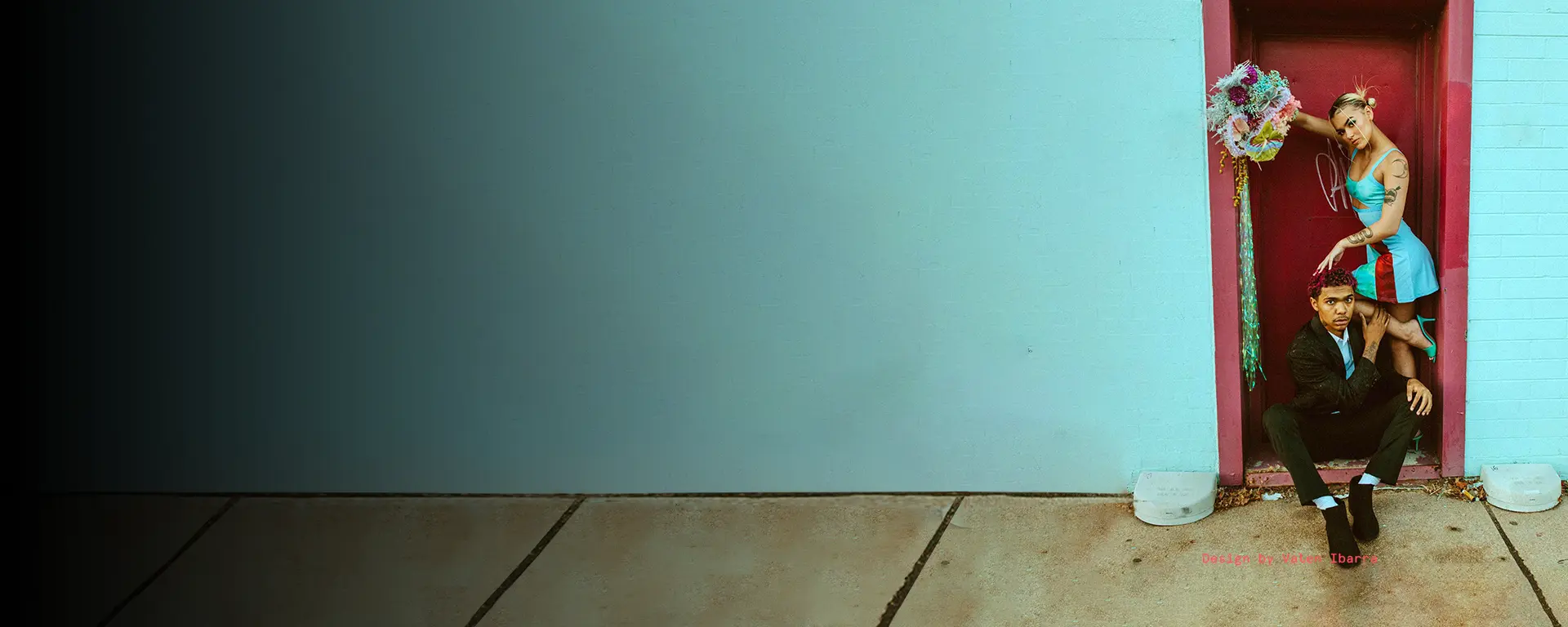 The Latest Alocasia Black Velvet News Thursd