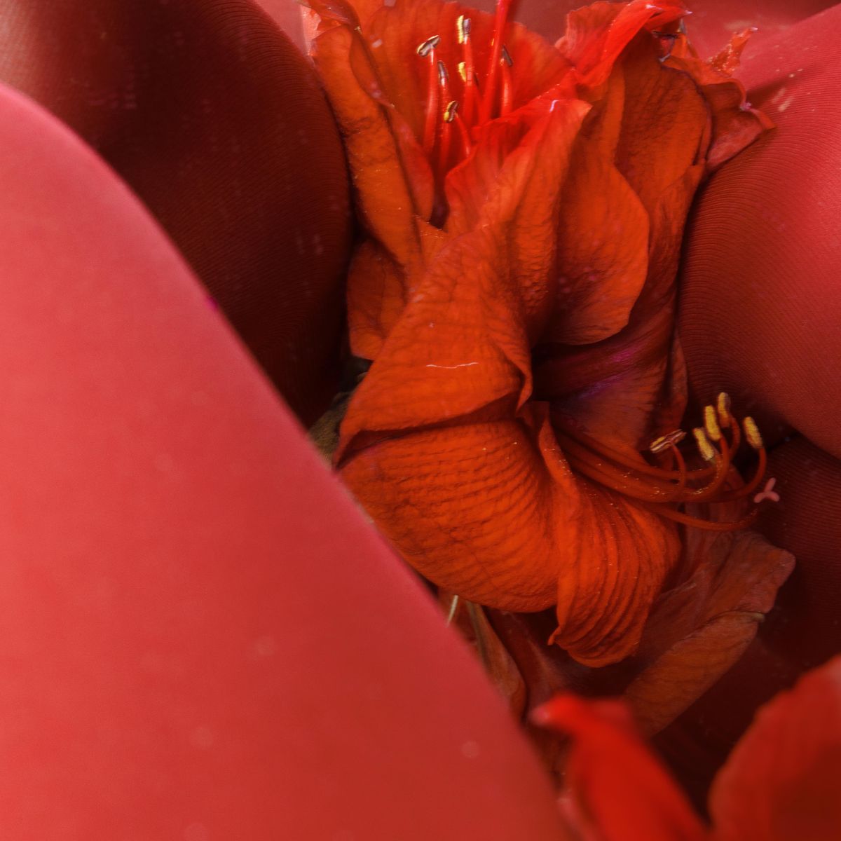 Human body flora photography by Alina Gross