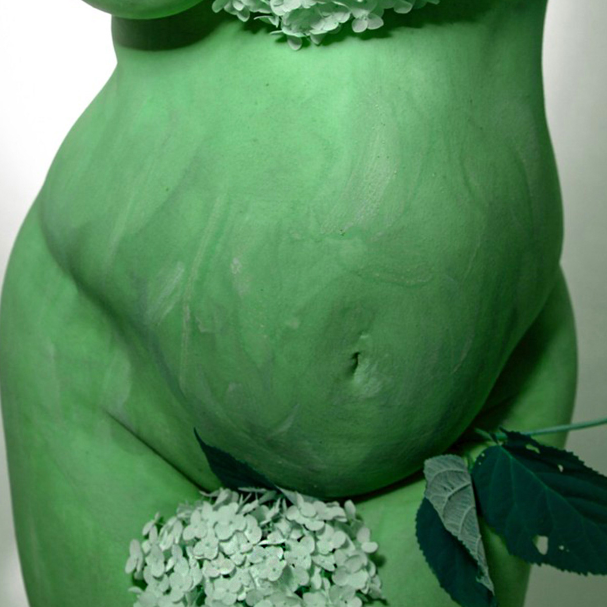 Alina Gross green body