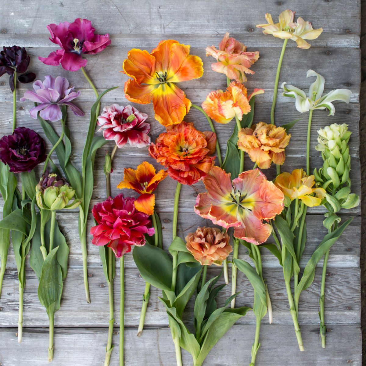 Floret Flower best flower Instagram accounts to follow in 2023