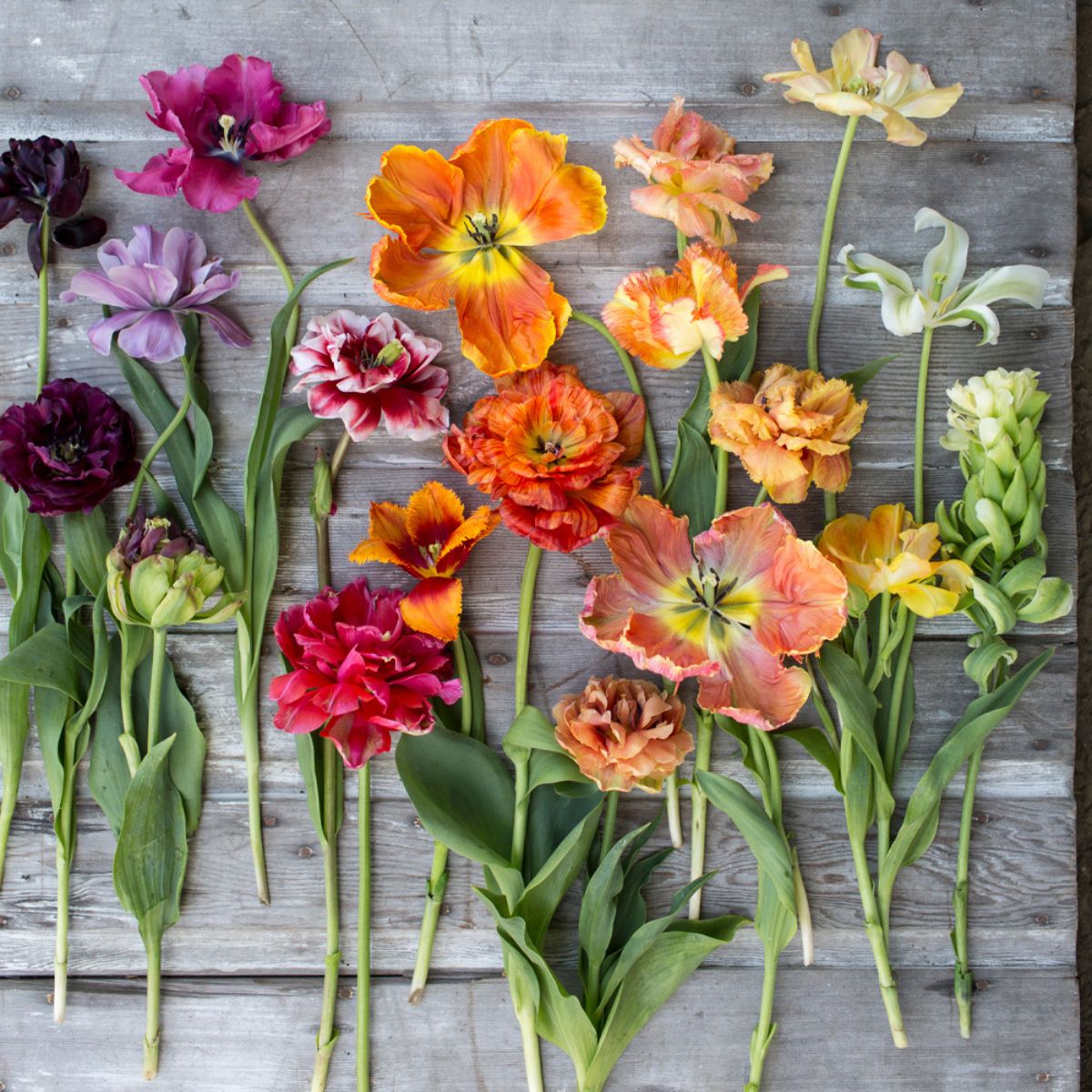 25 Best Flower Instagram Accounts to Get Inspired Article onThursd