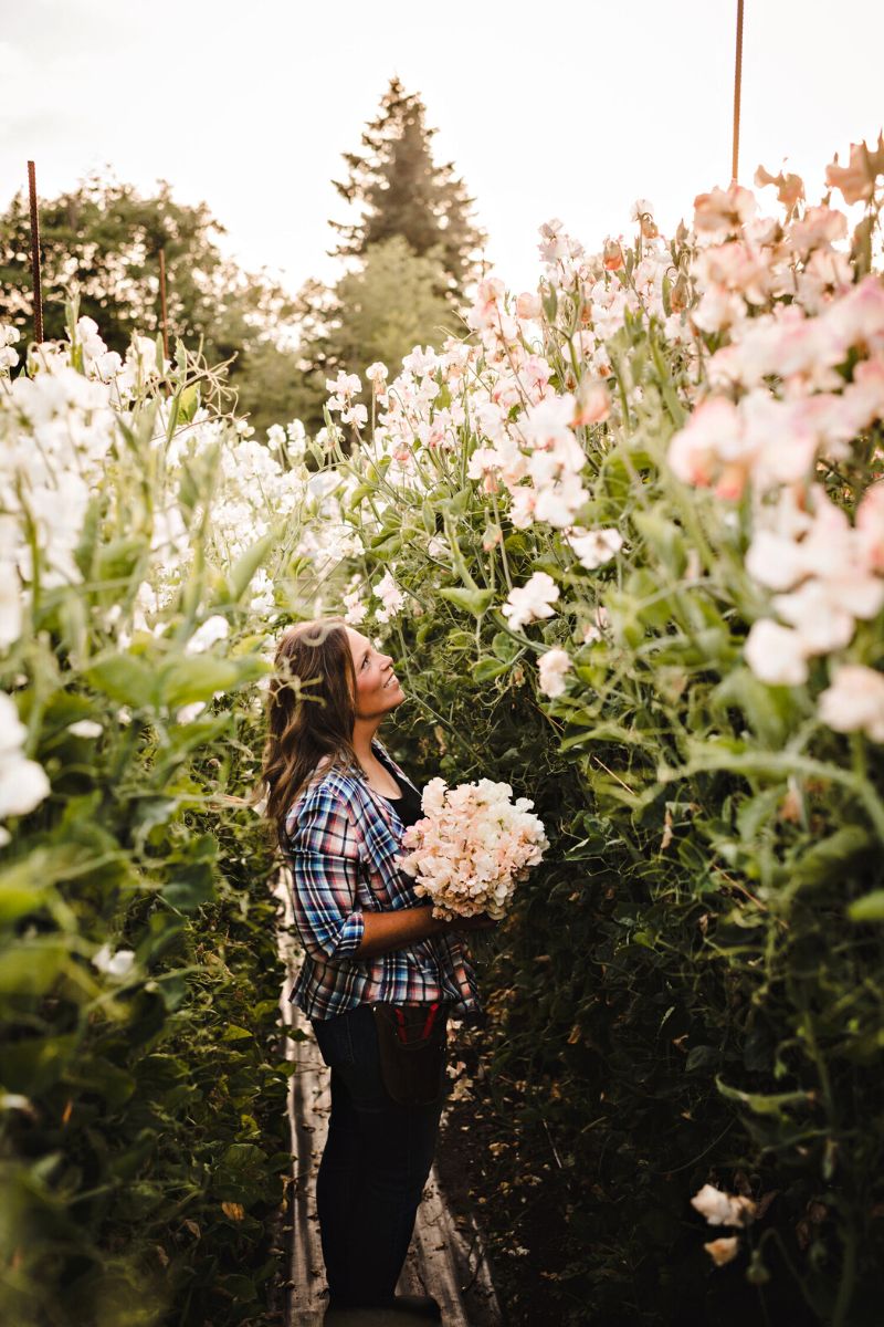 The farmhouse flower farm