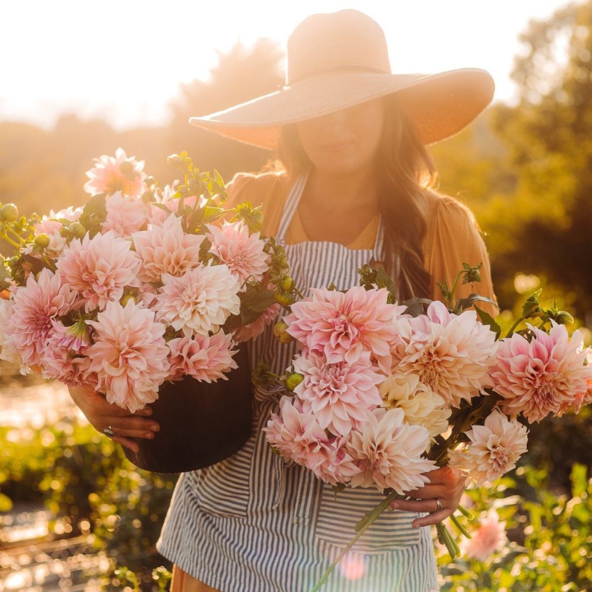 flower garden Instagram accounts - Flourish Flower Farm