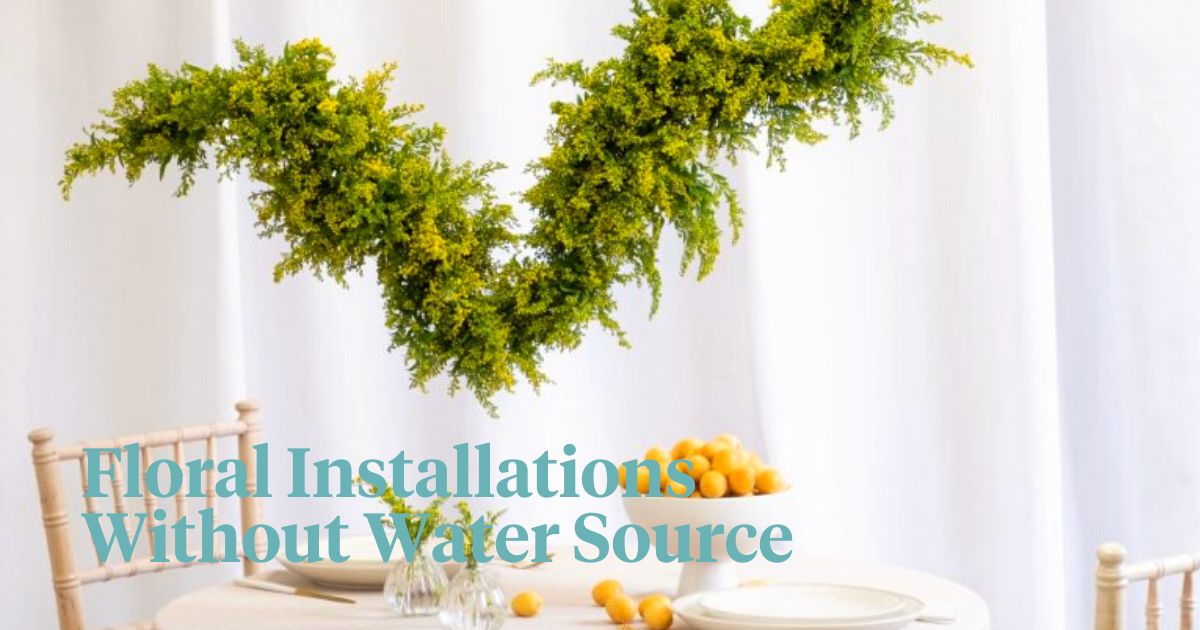 Top 10 Waterless Flowers for the Most Beautiful One-Day Installations