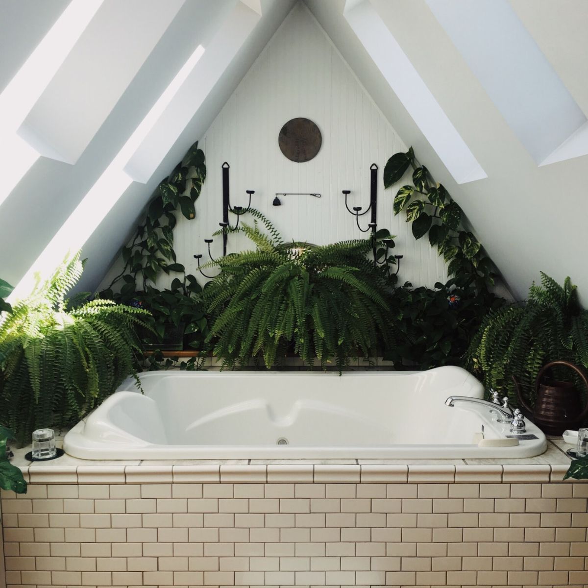 Best bathroom plants to have in 2023