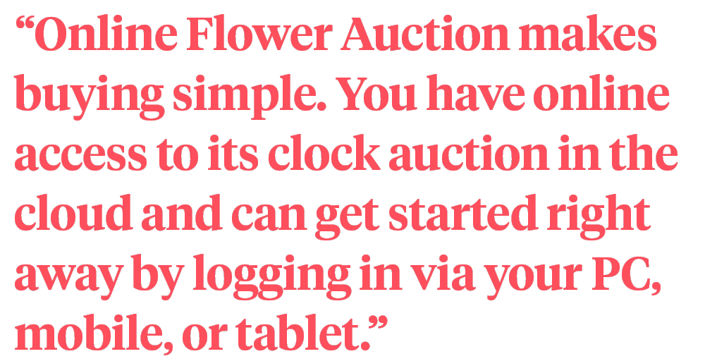 OFA Online Flower Auction buying quote on Thursd